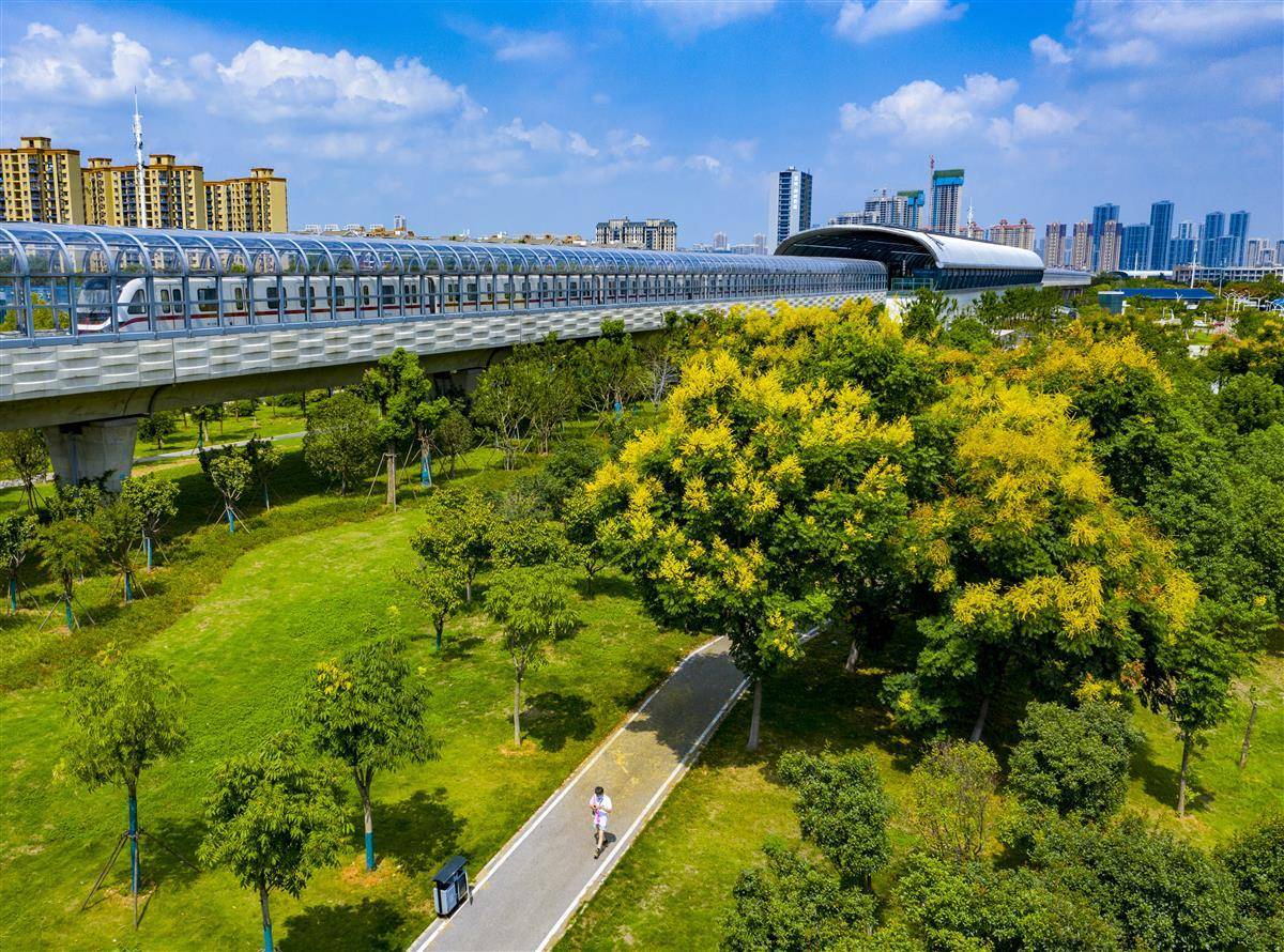 大满惯水果机